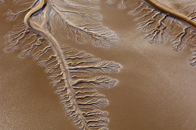 colorado_river_delta